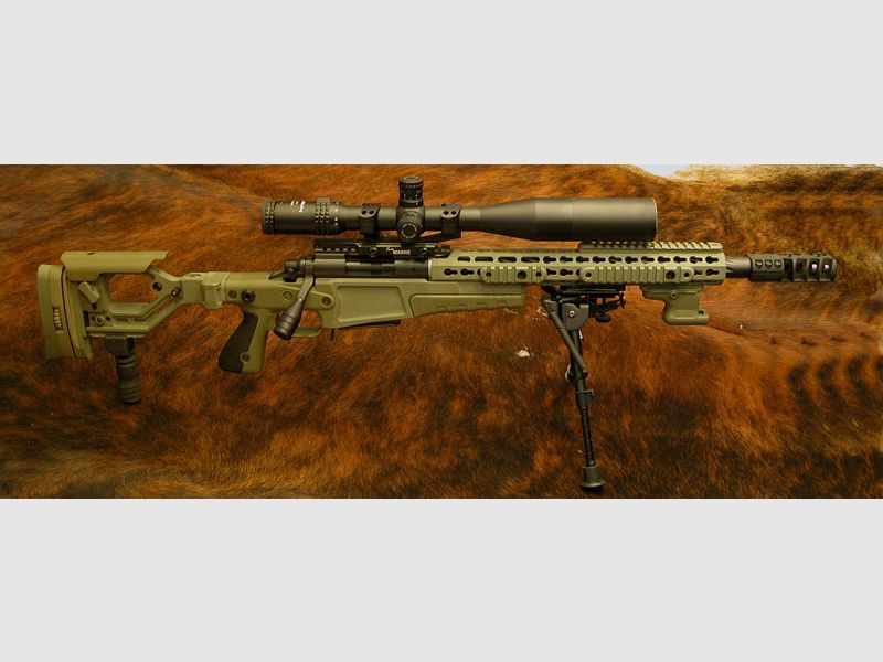 Precisión 308 Win Francotirador Personalizado AICS-AX VERDE Culata Plegable Syst. Remington 700 L.W. CAÑÓN HELICOIDAL Match Ebi-Freno ZF OPCIONAL