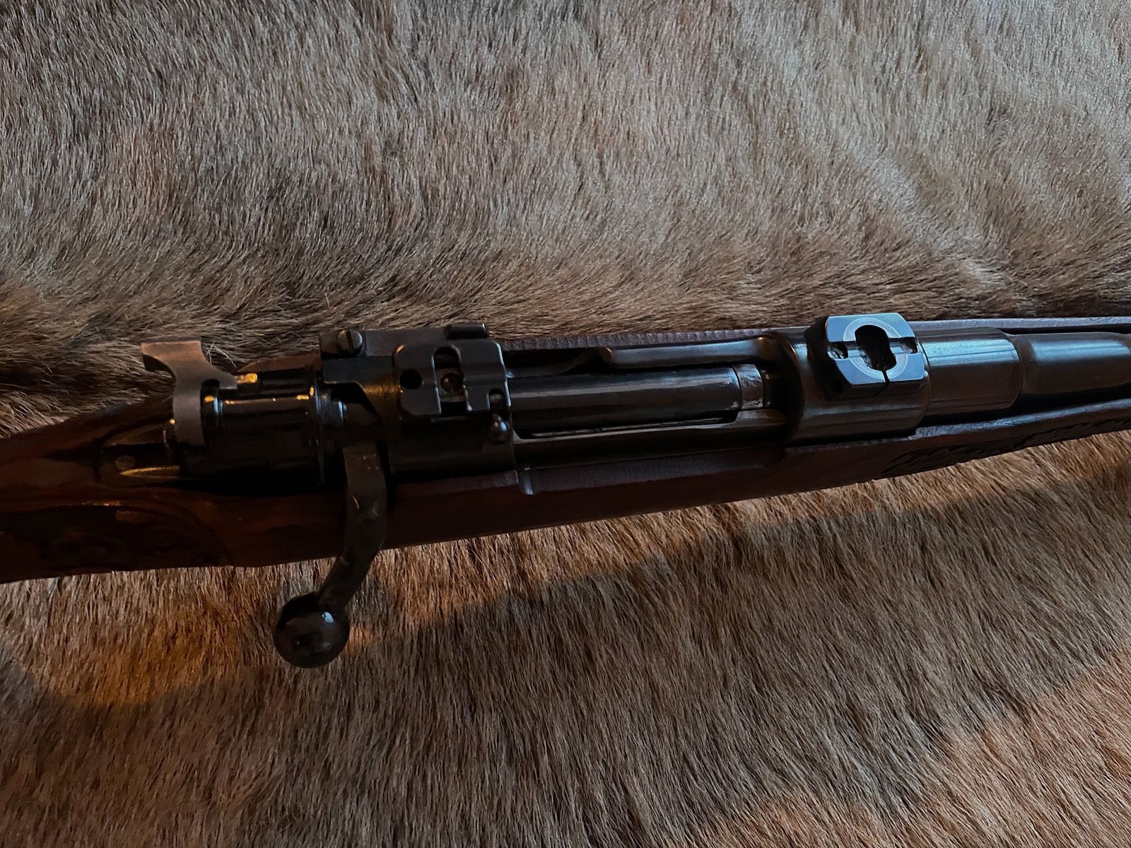 Mauser 98 in .308 stock fittings