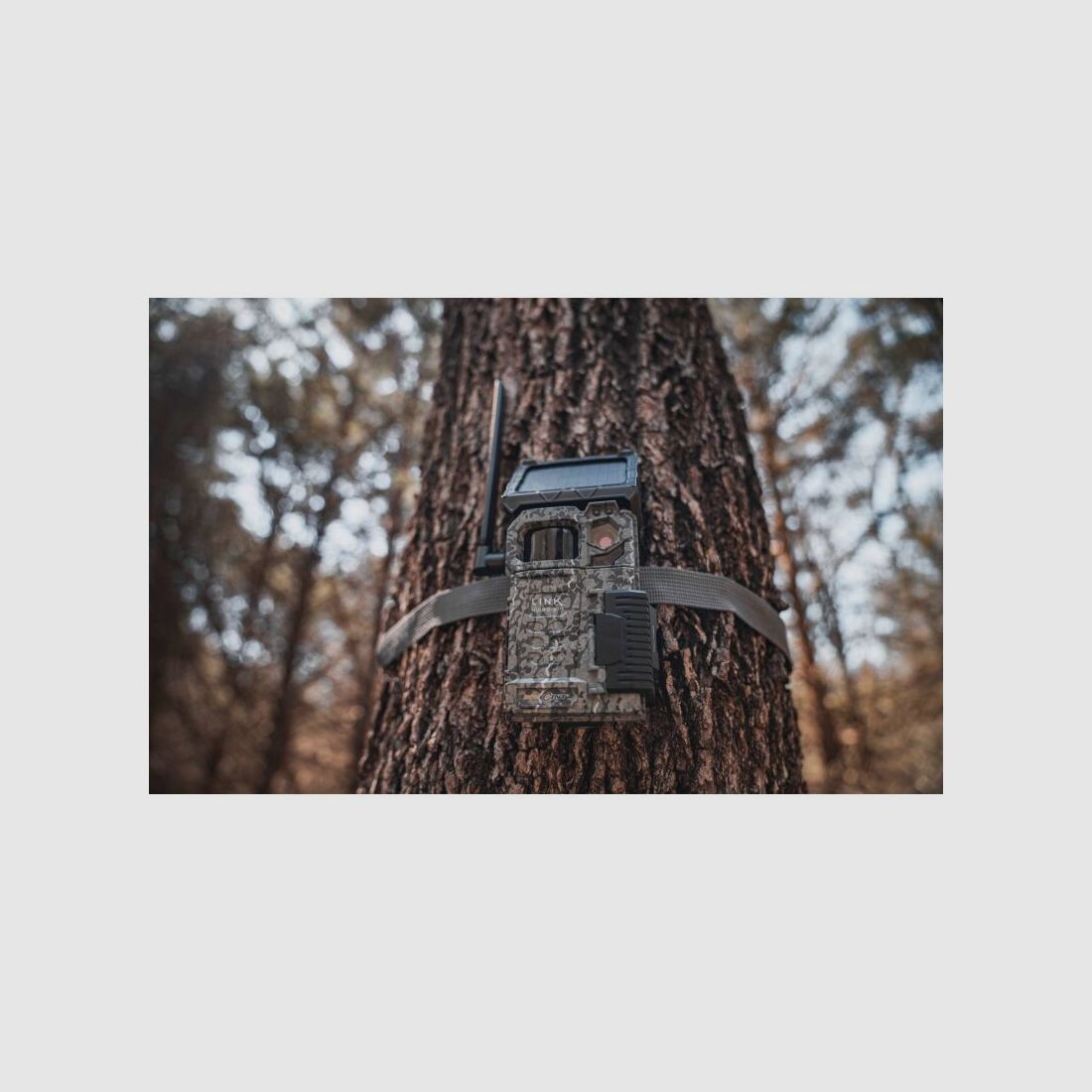 SPYPOINT Wildkamera Link Micro S LTE