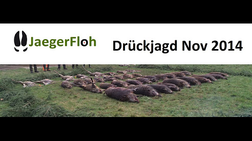 Driven Hunt/Drückjagd - 2 Jagdtage auf Schwarzwild und Rotwild im November 2014