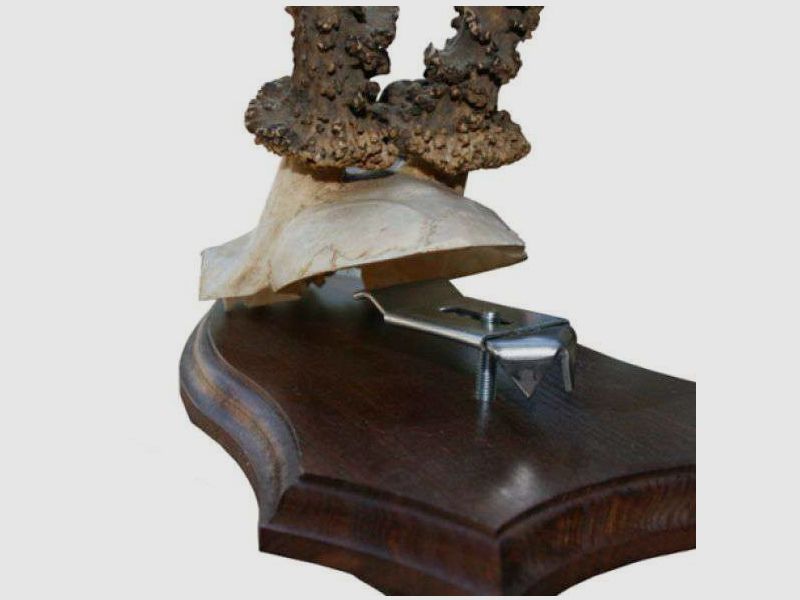 Horn clamps Grip, image 2 of 21