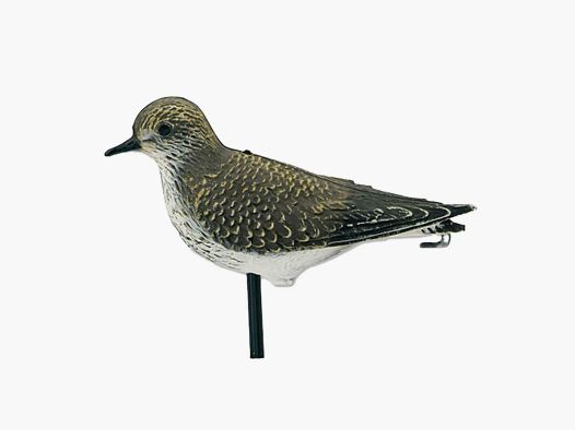 Realistic Golden Plover