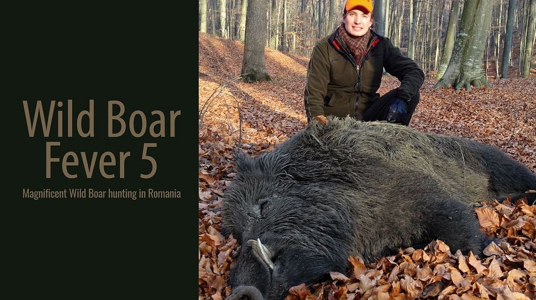 WILD BOAR FEVER 5 | (PROMO 2) EXCLUSIVELY ON MOTV.COM