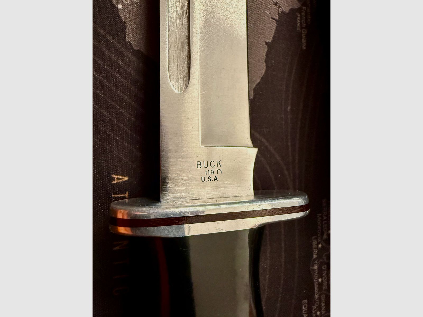 Buck 119 Bowie Messer Outdoor