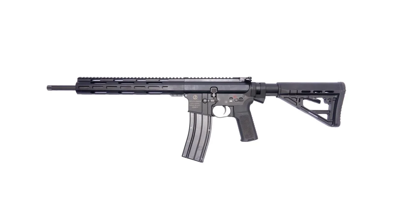Schmeisser AR15-22 .22lr – 16" – Petit calibre, image 3 sur 3