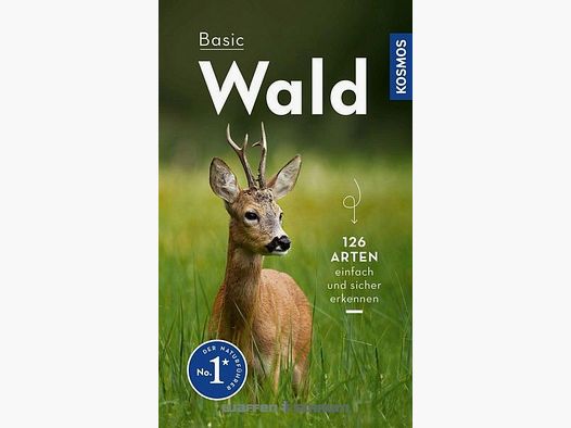 Kosmos Basic Foresta Wilhelmsen