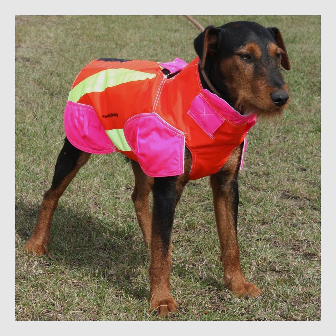 Out Dog Dog protective vest standard (Chest circumference 65 cm – male), imagen 3 de 7