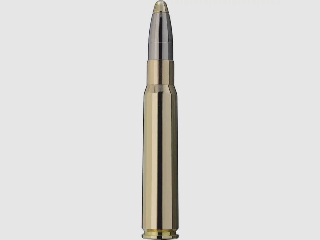 RWS Evo 200grs - 20Stk