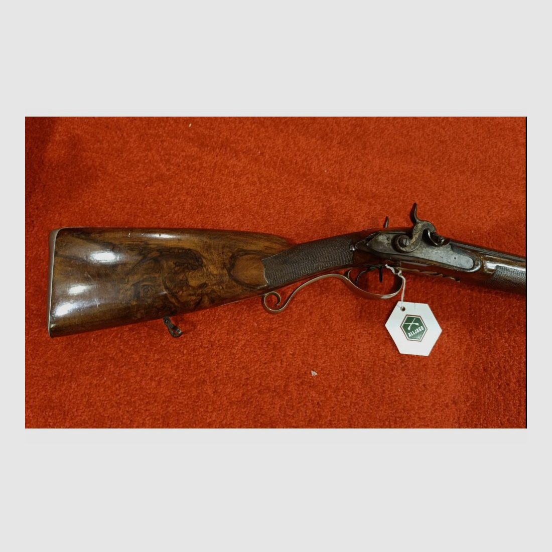 Escopeta de doble percusión Damasco Würzburg 20 (pólvora negra)