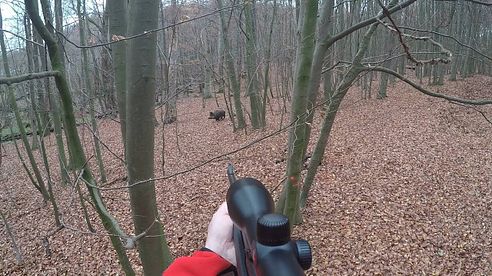 Driven hunts in Germany - Drückjagd in Deutschland