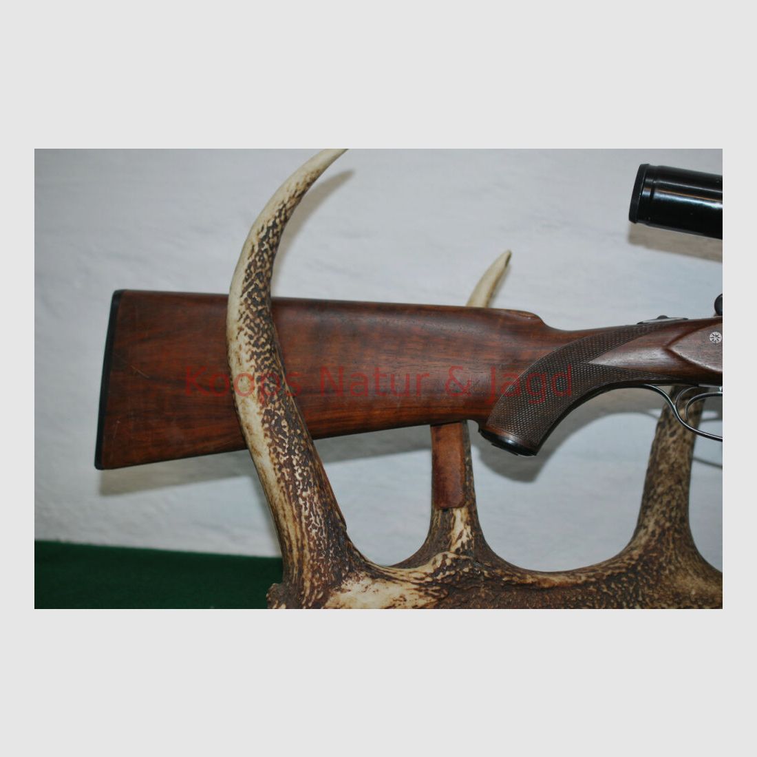 Sauer & Sohn 54