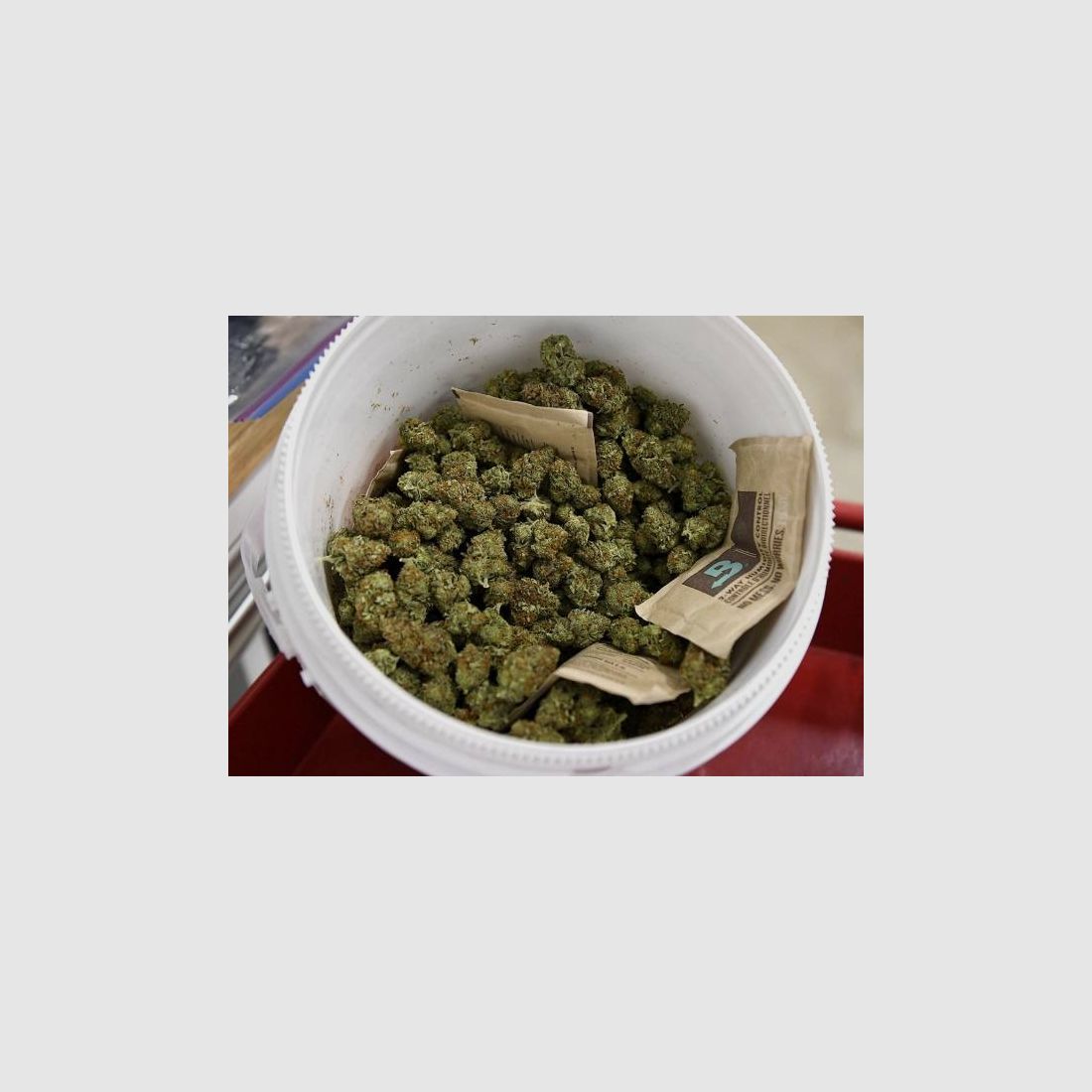 Chaud cocaïne : nous vous ferons revenir. Coca : toute la nuit, pas de banderoles. cocaïne. Gros truc Envoyez-moi un message sur Google Chat