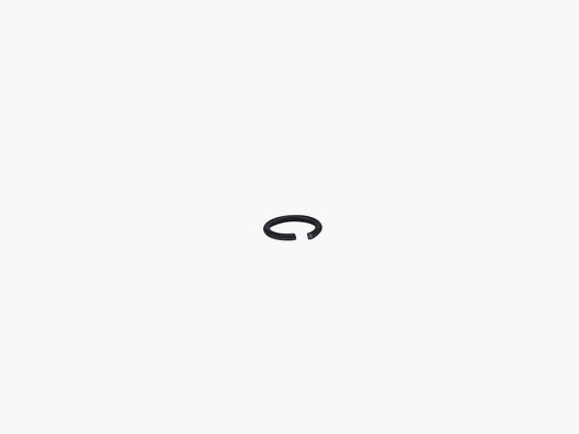 Spring ring DIN 7993 A6 S202 I P226 X