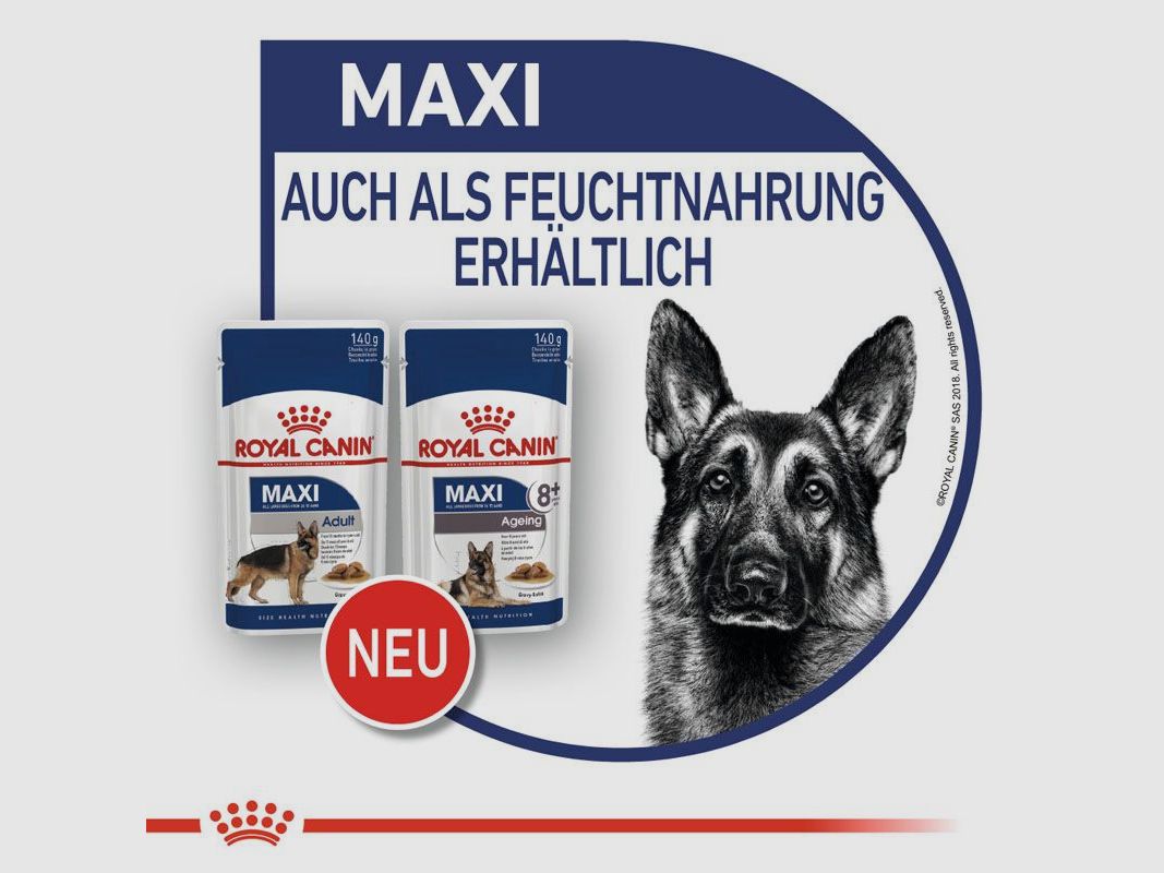 ROYAL CANIN Große Hunde Nassfutter Maxi Adult 10x140 g