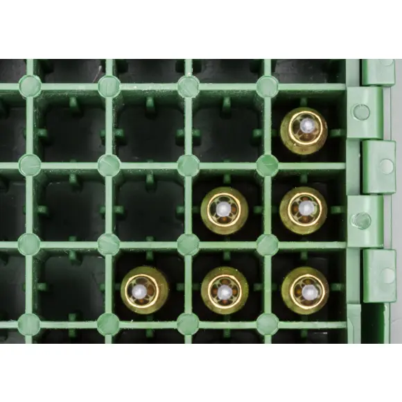 Caja Megaline para 50 Cartuchos Calibre 222 a 223 con Tapa Transparente, imagen 7 de 8