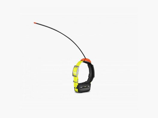 GARMIN T 5 - VERSIONE F Collare di Tracciamento