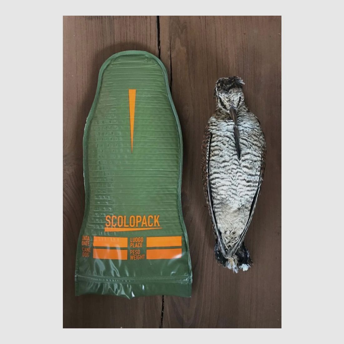 Scolopack, image 4 sur 7