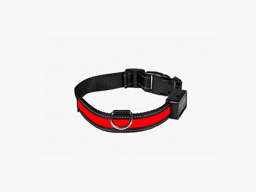 EYENIMAL Collare Luminoso Ricaricabile USB