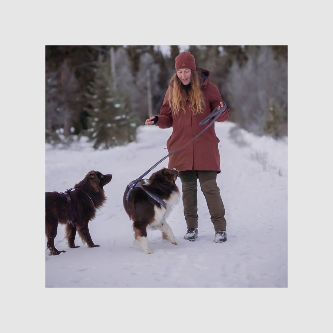 PINEWOOD Finnveden Hybrid Extreme Women's Hunting Trousers Dark Olive / Hunting Olive, image 3 of 4