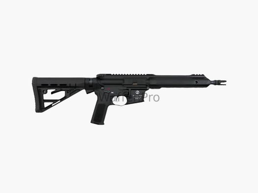 Schmeisser AR15-9 Sport S + NoFlash