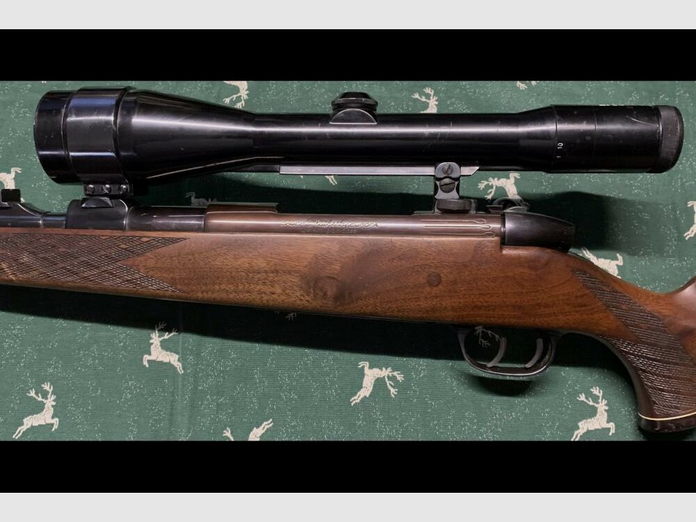 Sauer Weatherby Europa 8x68S