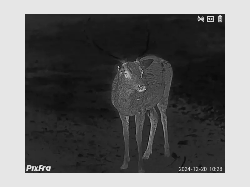 Pixfra Wärmebildmonokular Sirius S650D