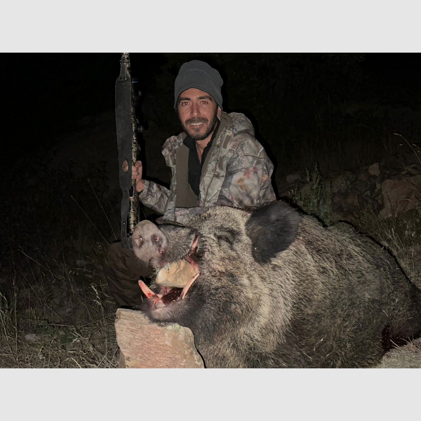 Nacht Pirsch Jagd in der Türkei  Sonderangebot 5 Sauen Inkl.