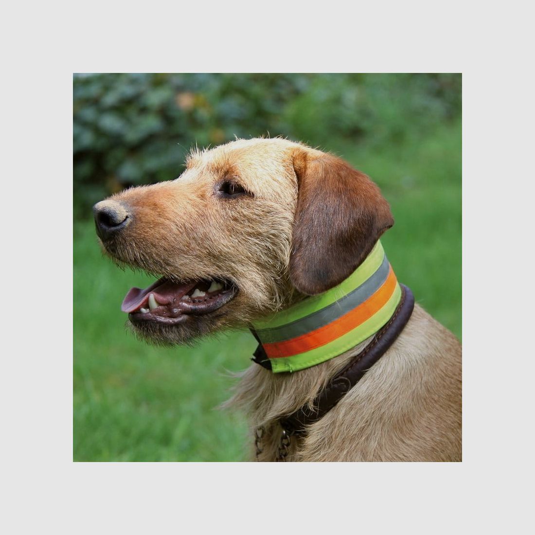 AKAH Hundehalsband reflektierend