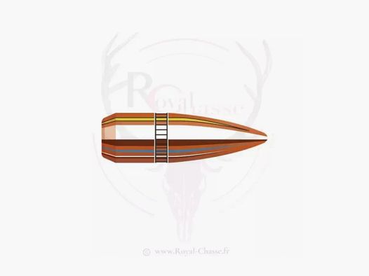 100 ogives Cal.22 D.224 55Grs BT FMJ HORNADY