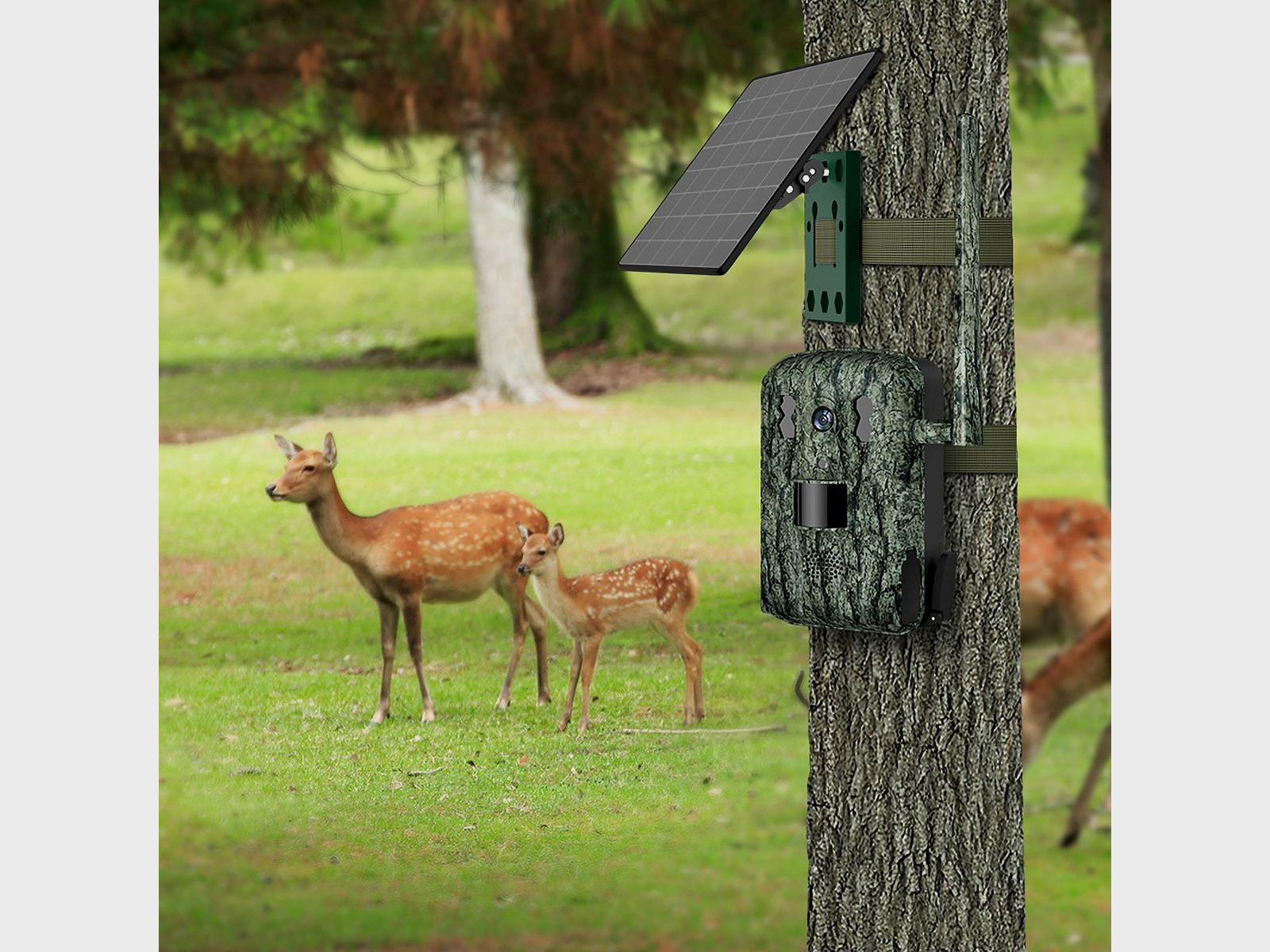 WILDCAST S8 trail camera, image 14 of 15