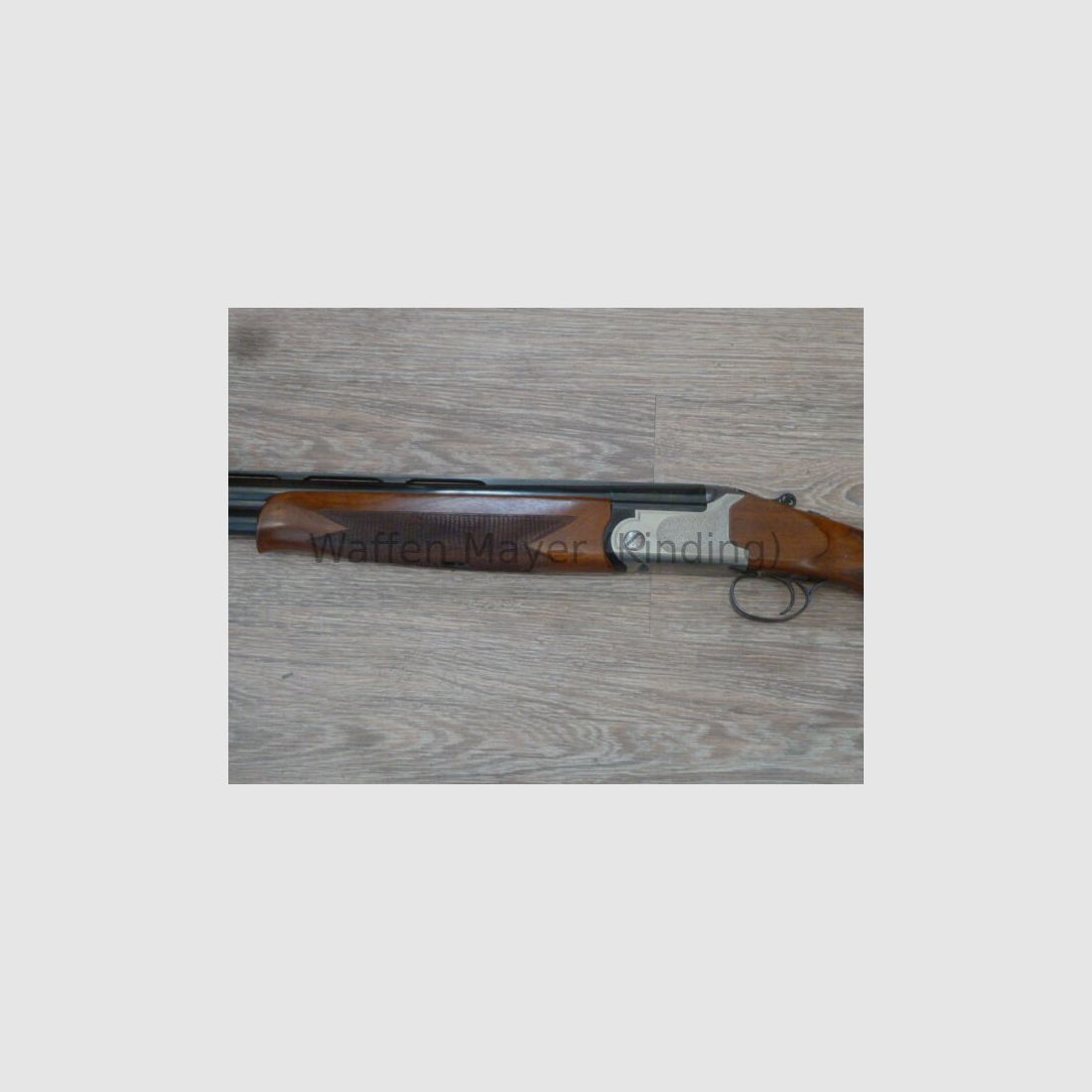 Rottweil Mod.700