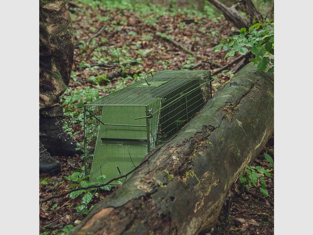 Falle Falle Lebendfang – zwei Klapptüren