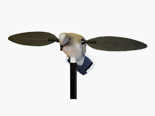 MOJO Voodoo Colombe -Colombe