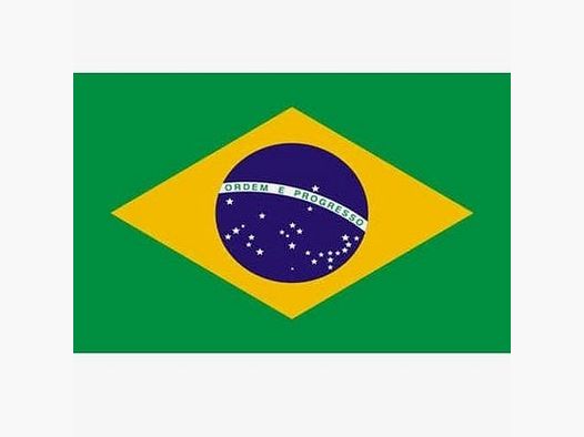 Brasilianische Flagge