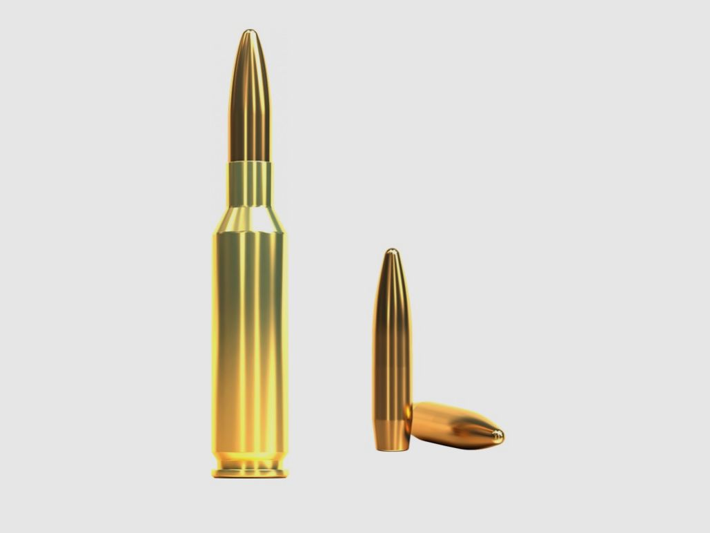 Sellier & Bellot 2000137 6,5 Creedmoor Vollmantel 9,1g 140grs.