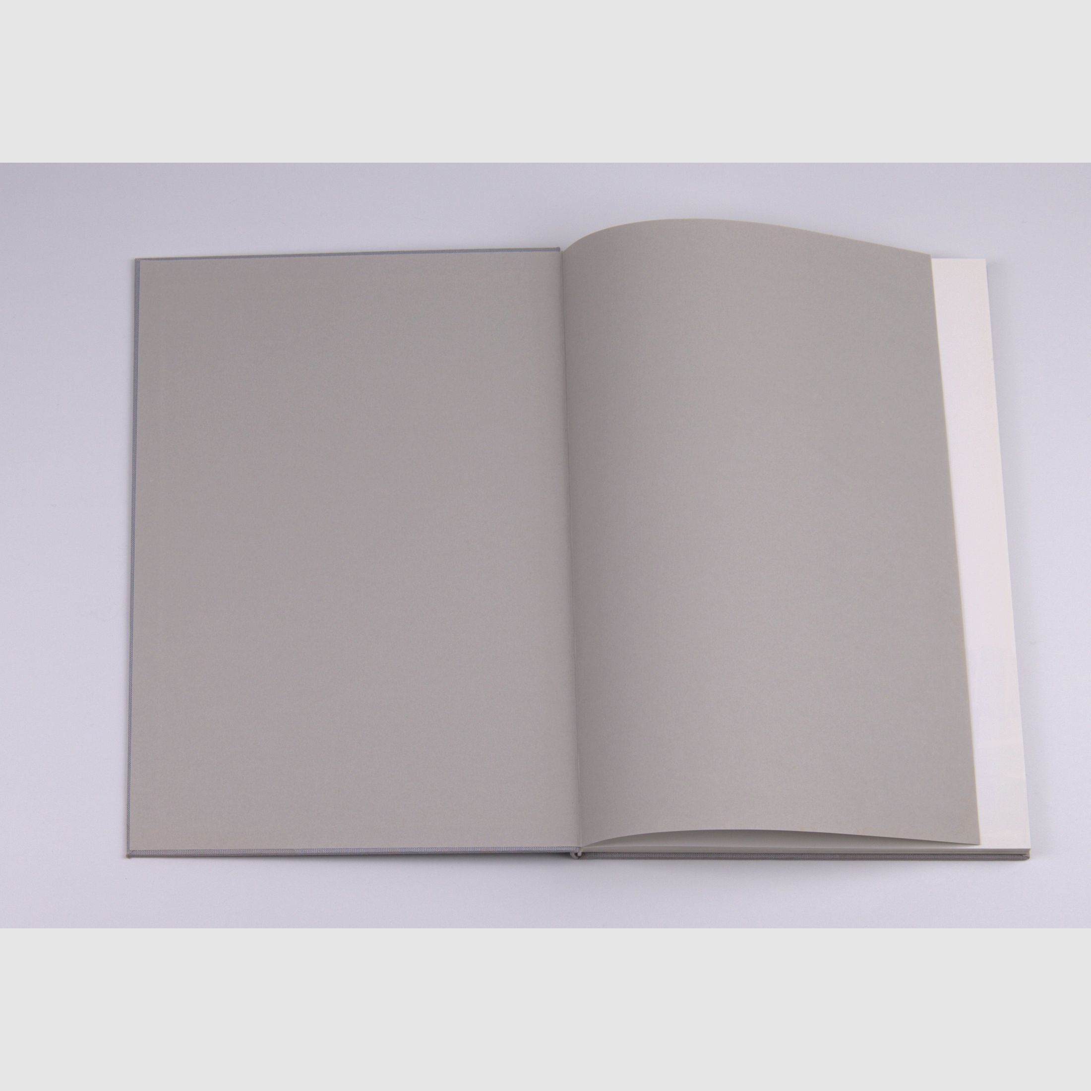 The G11 Story - The Development History of a High-Tech Weapon