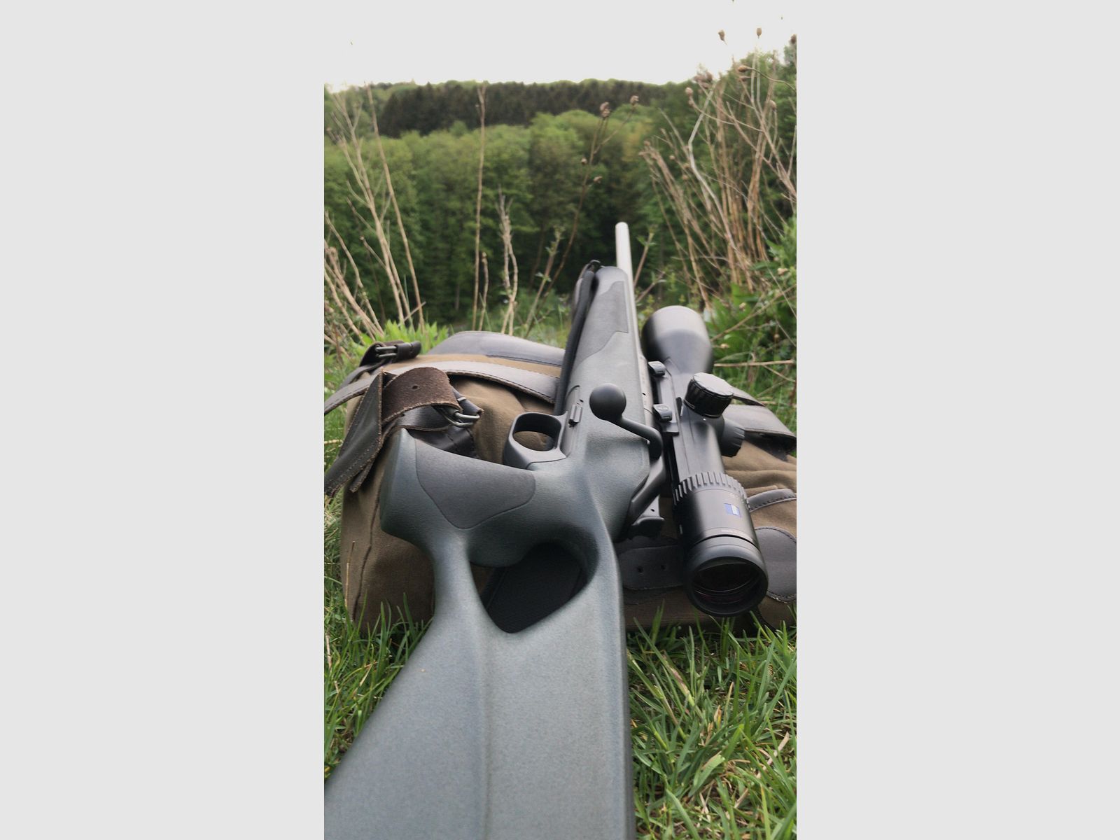 Blaser R8 Professional Success  (links) 