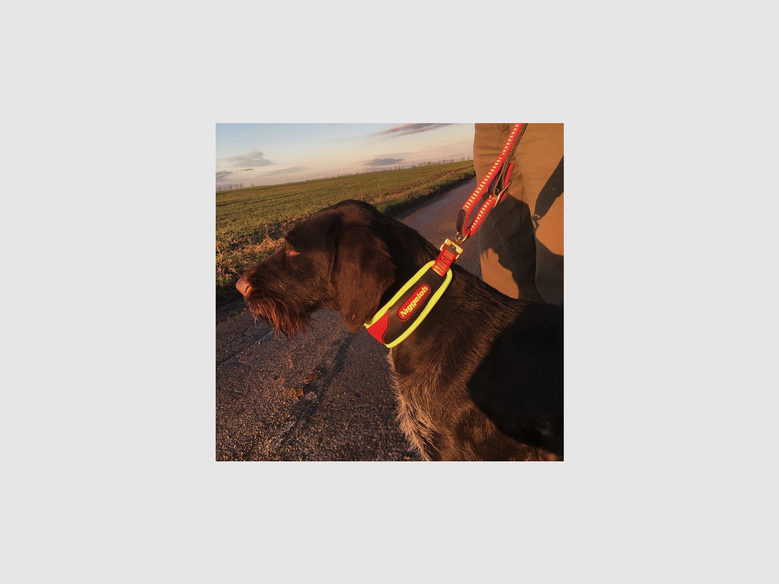 NIGGELOH Szyja do spawania Trail Żółty/ Czerwony