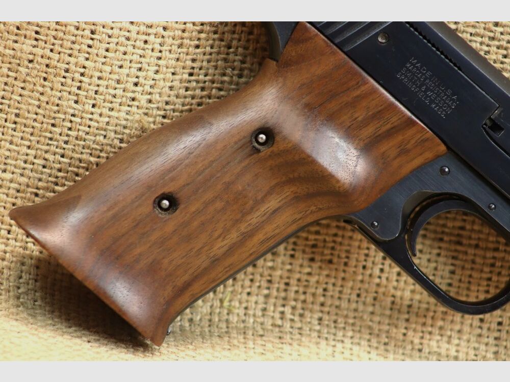 Smith & Wesson 41 .22lr