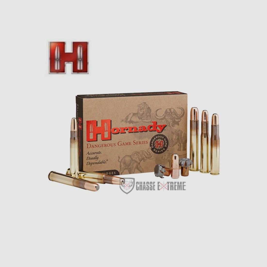 20 Patronen HORNADY Kal. 375 Ruger 300Gr Dgx Bonded