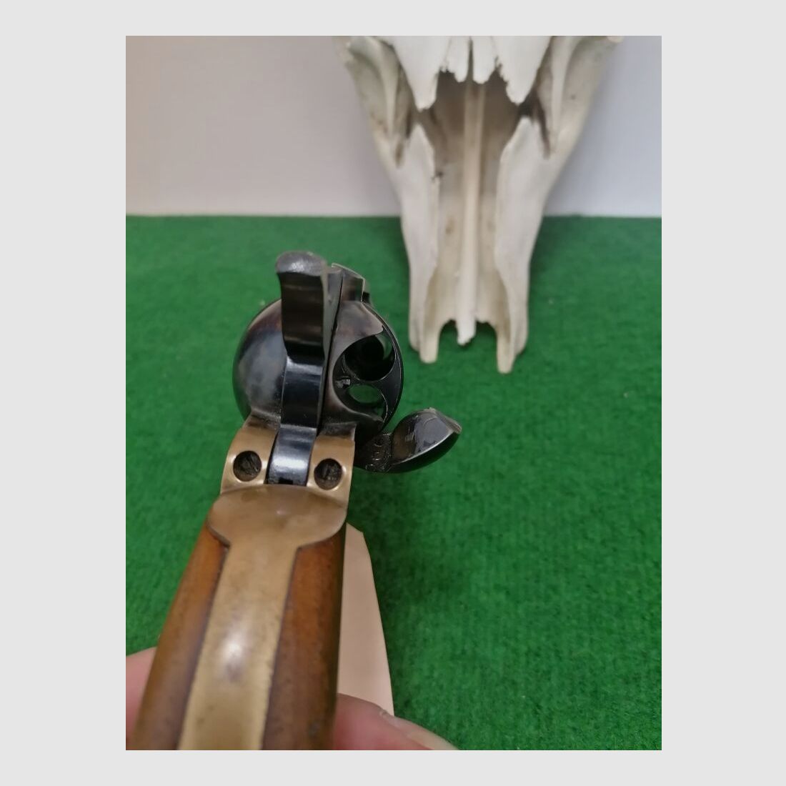 Nouva Jager Jäger Dakota 1873