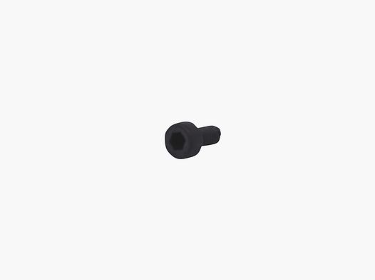 SIG SAUER X-Series Cylinder Screw M3x6-12.9
