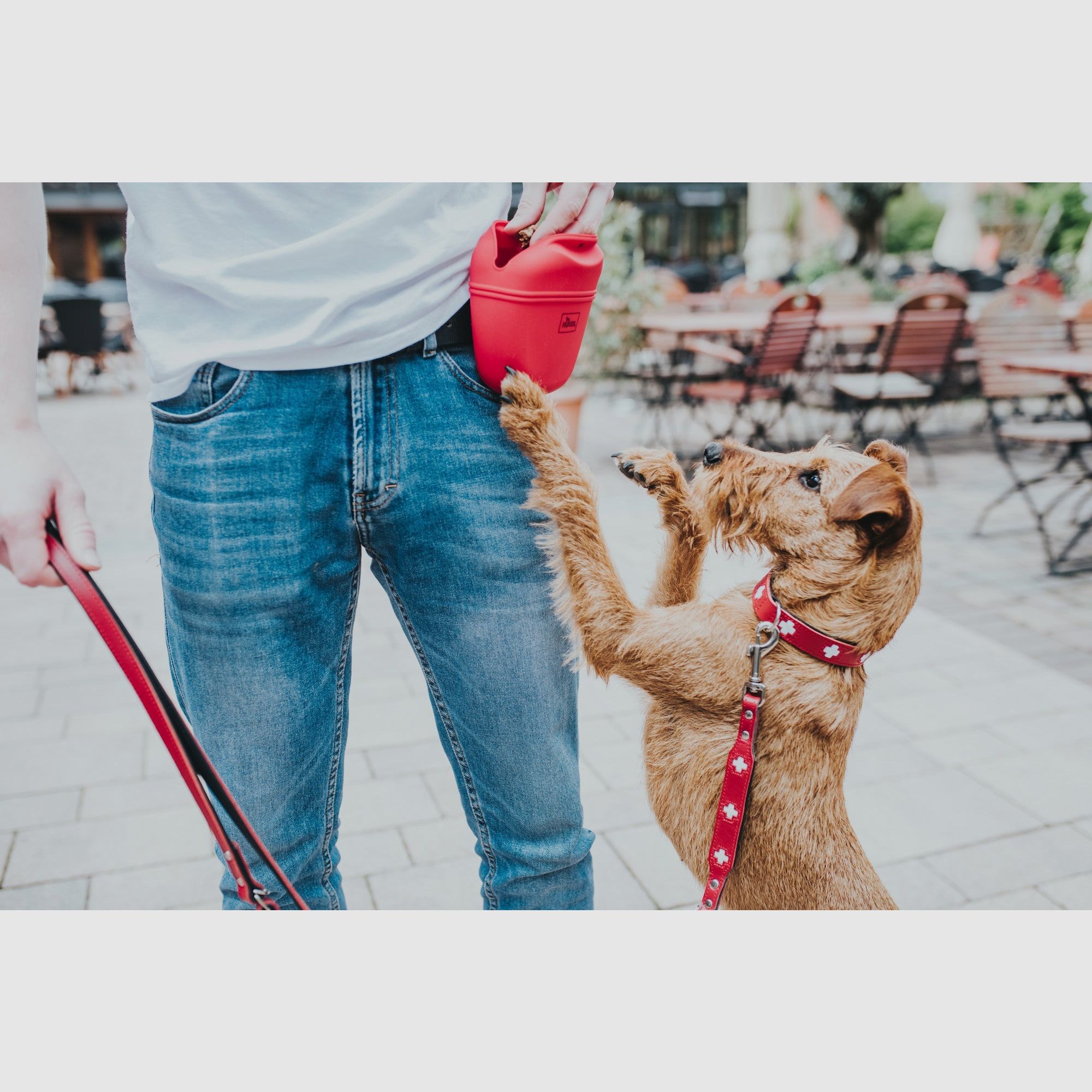 Hunter Halsband Swiss Leder