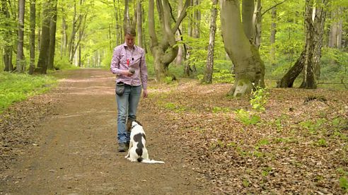 Basisausbildung für den brauchbaren Jagdhund: Vorsitzen und Festhalten