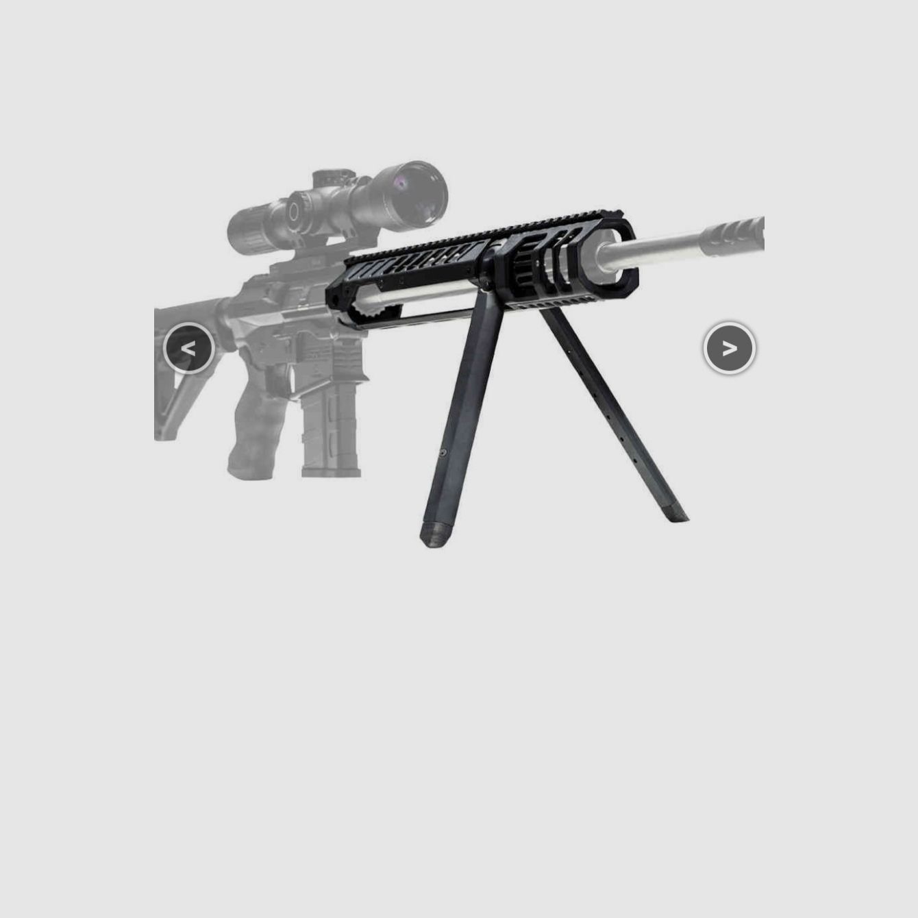 Schmeisser AR 15 Sport 4S 10'