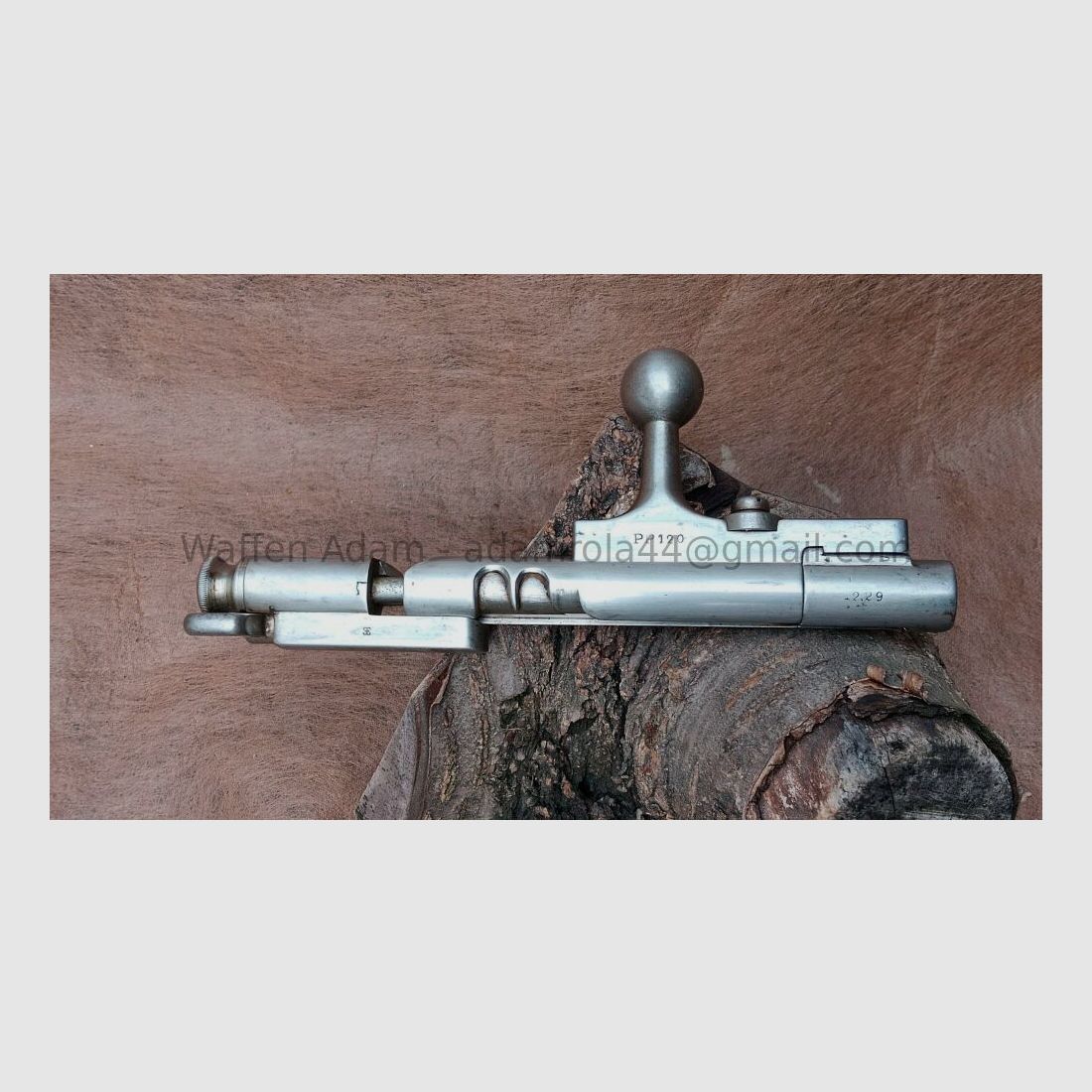 Steyr Kropatschek 1889