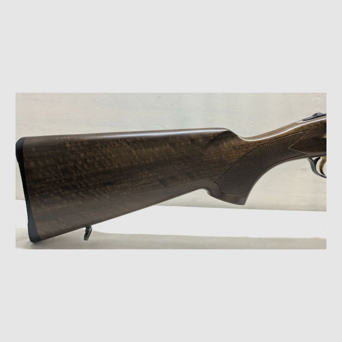 Kettner Campione
