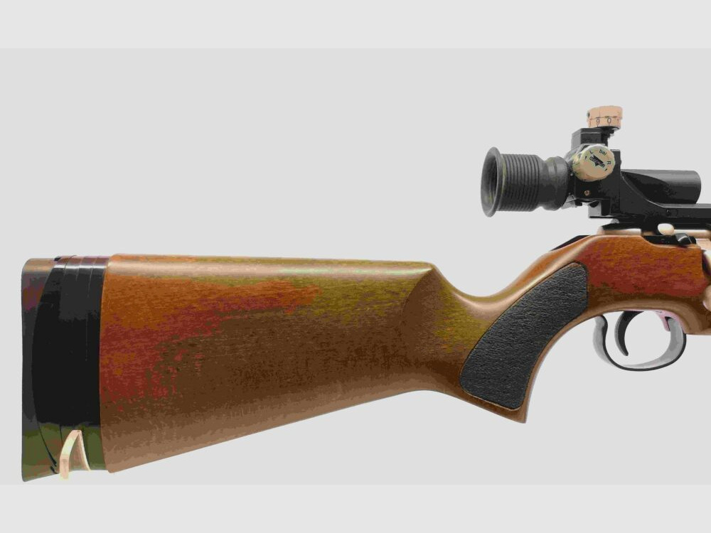 Anschütz Achiever ST