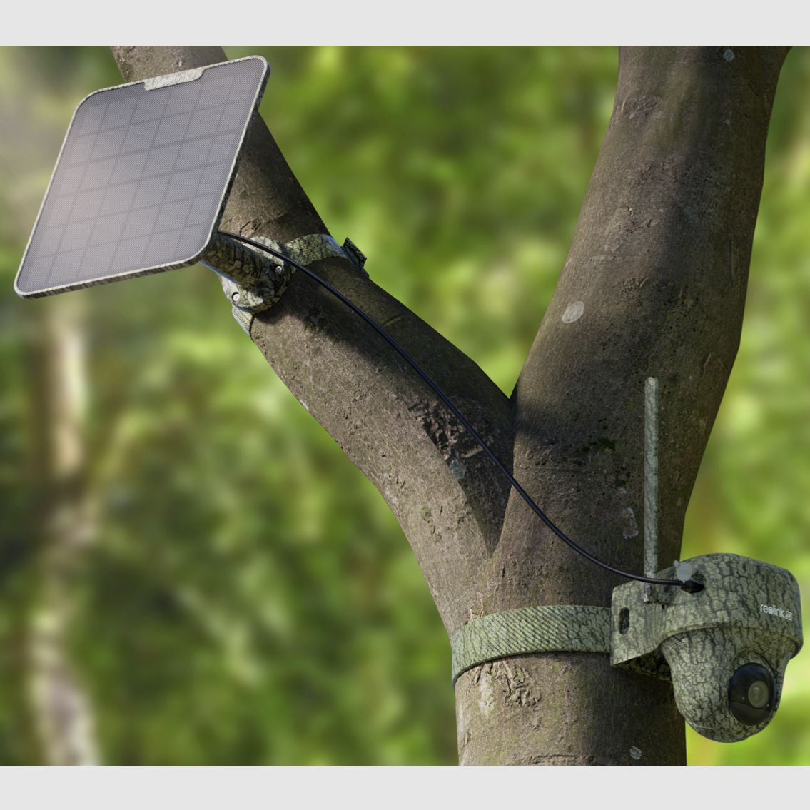 Reolink Go Ranger PT mit Solarpanel 4K 4G LTE Wildlife Camera mit 360 Grad Sicht