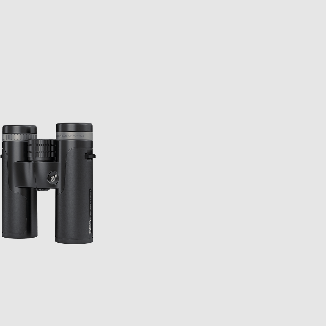PASSION™ SD 8x34